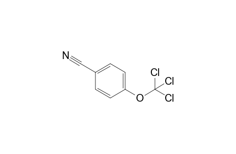 4-(Trichloromethoxy)benzonitrile