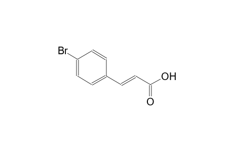 trans-p-BROMOCINNAMIC ACID