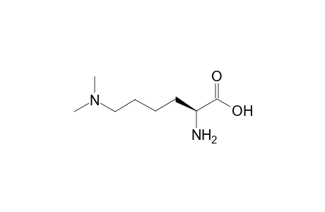(2S)-2-amino-6-(dimethylamino)hexanoic acid