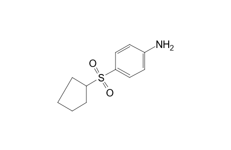 p-(cyclopentylsulfonyl)aniline