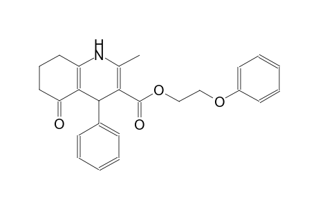 2-phenoxyethyl 2-methyl-5-oxo-4-phenyl-1,4,5,6,7,8-hexahydro-3-quinolinecarboxylate