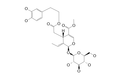OLG;OLEUROPEIN-BETA-D-GLUCOPYRANOSIDE