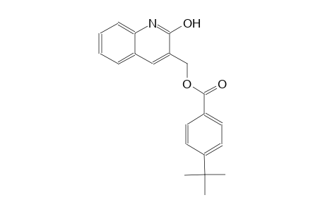 (2-hydroxy-3-quinolinyl)methyl 4-tert-butylbenzoate