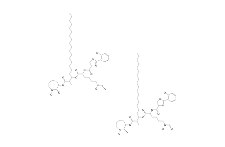 NOCARDIMICIN_I