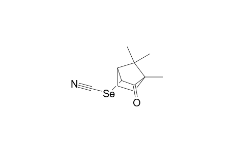 3-(endo-Selenocyanato)camphor