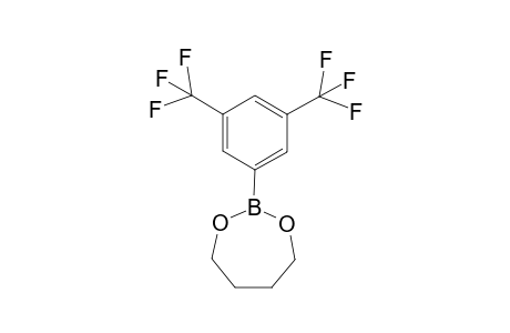 3,5-bis(trifluoromethyl) benzeneboronate of 1,4-butanediol
