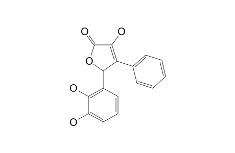 5-(2,3-DIHYDROXYPHENYL)-3-HYDROXY-4-PHENYL-2(5H)-FURANONE