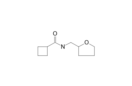 Cyclobutanecarboxamide, N-tetrahydrofurfuryl-