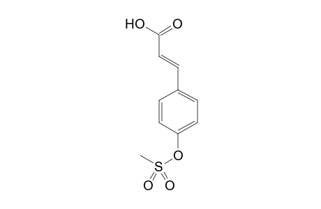 (E)-3-{4-[(Methylsulonyl)oxy]phenyl}prop-2-enoic acid