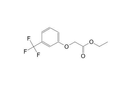 ethyl [3-(trifluoromethyl)phenoxy]acetate