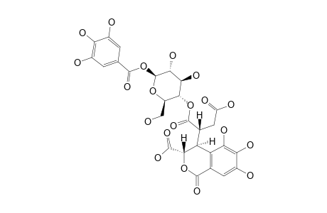 PHYLLANEMBLININ-E;4-O-NEOCHEBULOYL-1-O-GALLOYL-BETA-D-GLUCOSE