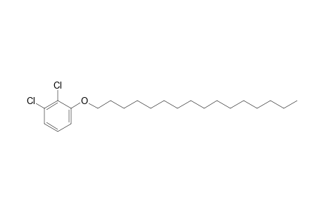 2,3-Dichlorophenyl hexadecyl ether