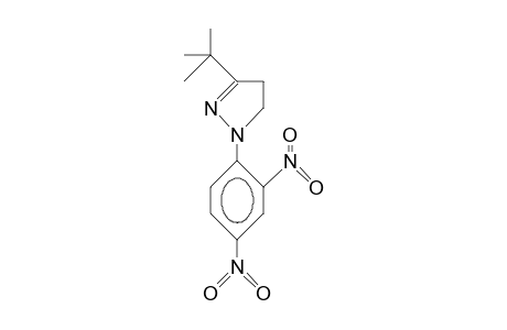 1-(2,4-Dinitro-phenyl)-3-tert-butyl-2-pyrazoline