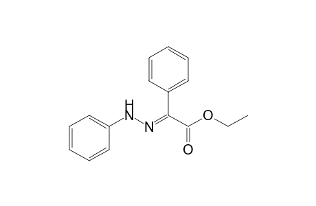 (2E)-2-phenyl-2-(phenylhydrazinylidene)acetic acid ethyl ester