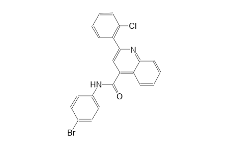 N-(4-bromophenyl)-2-(2-chlorophenyl)-4-quinolinecarboxamide