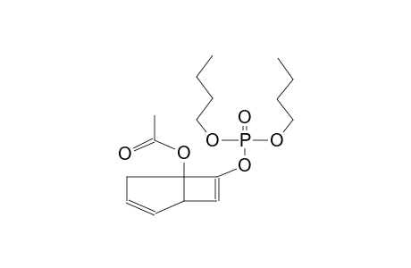 (5-ACETOXYBICYCLO[3.2.0]HEPTA-3,6-DIEN-6-YL)DIBUTYLPHOSPHATE