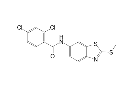 2,4-dichloro-N-[2-(methylsulfanyl)-1,3-benzothiazol-6-yl]benzamide