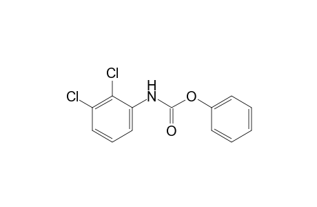 2,3-dichlorocarbanilic acid, phenyl ester
