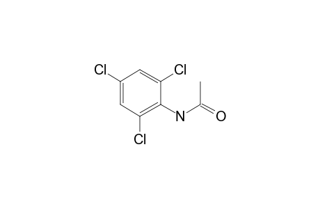 N-(2,4,6-Trichlorophenyl)acetamide