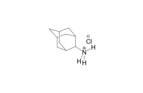 2-Adamantylamine hydrochloride