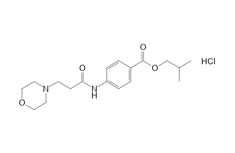 p-(3-morpholinopropionamido)benzoic acid, isobutyl ester, hydrochloride