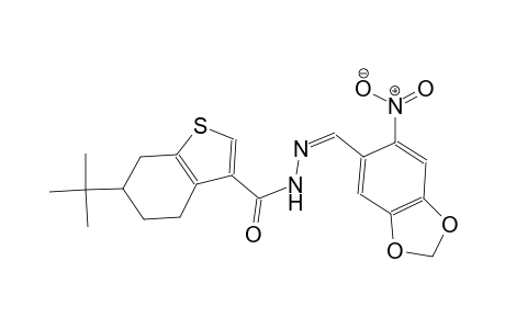 6-tert-butyl-N'-[(Z)-(6-nitro-1,3-benzodioxol-5-yl)methylidene]-4,5,6,7-tetrahydro-1-benzothiophene-3-carbohydrazide