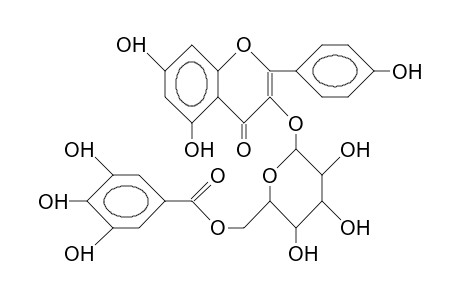 Kaempferol-3-O-B-D-(6''-O-galloyl)-glucopyranoside