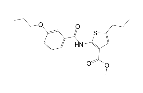 methyl 2-[(3-propoxybenzoyl)amino]-5-propyl-3-thiophenecarboxylate