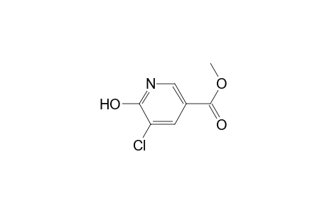 5-Chloro-6-keto-1H-pyridine-3-carboxylic acid methyl ester