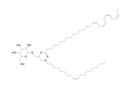 MGDG O-19:1_28:4