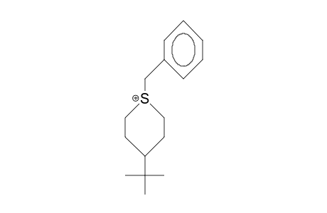 cis-1-Benzyl-4-tert-butyl-thianium cation