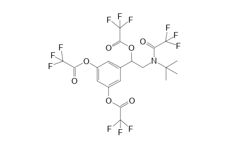 Tetra-trifluoroacetyl derivative of Terbutaline