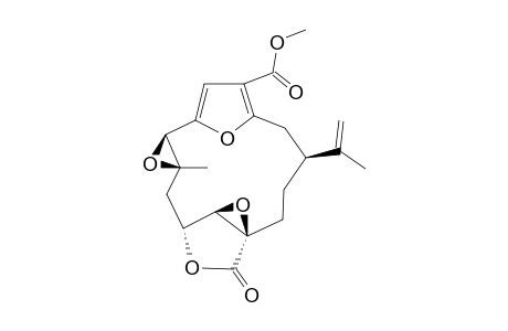 11-BETA,12-BETA-EPOXYPUKALIDE