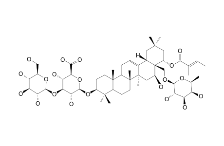 ALTERNOSIDE-XV;CHICHIPEGENIN-22-O-TIGLOYL-3-O-BETA-D-GLUCOPYRANOSYL-(1->3)-BETA-D-GLUCURONOPYRANOSYL-28-O-BETA-D-FUCOPYRANOSIDE