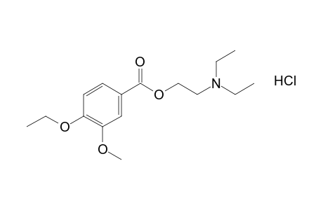 4-ethoxy-m-anisic acid, diethylaminoethyl ester, hydrochloride