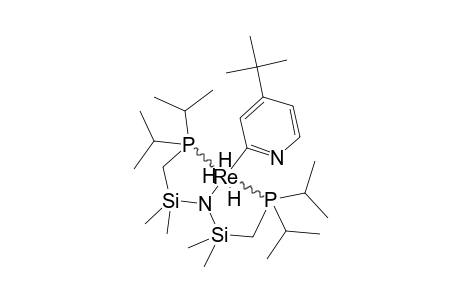 [PNP-(I-PR)]-REH3-(4-TERT.-BUTYL-2-PYRIDYL)