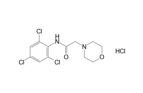 2-morpholino-2',4',6'-trichloroacetanilide, monohydrochloride