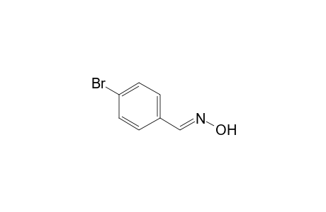 4-Bromobenzaldoxime
