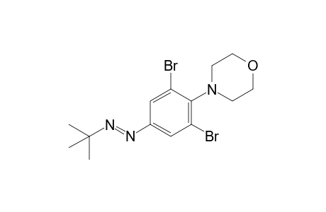 4-{2,6-Dibromo-4-[(tert-butyl)azo]phenyl}morpholine