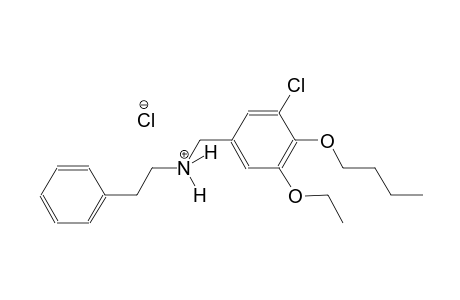 N-(4-butoxy-3-chloro-5-ethoxybenzyl)-2-phenylethanaminium chloride