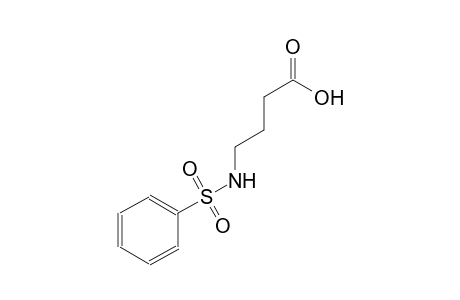 4-[(phenylsulfonyl)amino]butanoic acid