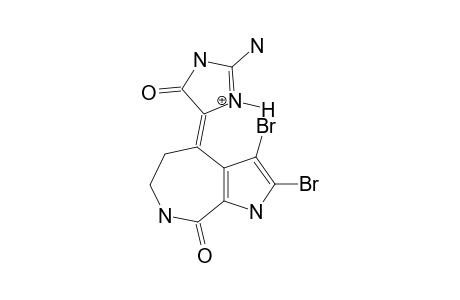 SPONGIACIDIN_A