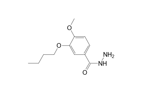 3-(n-butoxy)-4-methoxybenzoic acid hydrazide