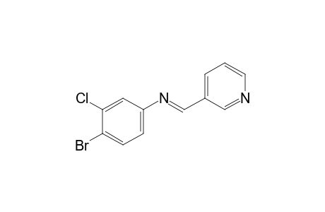 4-bromo-3-chloro-N-[(3-pyridyl)methylene]aniline