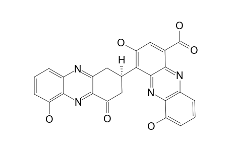 IZUMIPHENAZINE_B