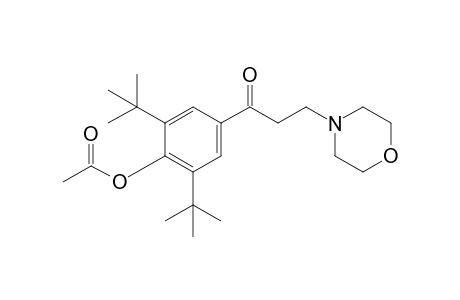 1-(4-Acetoxy-3,5-di-tert.butylphenyl)-3-morpholinopropan-1-one