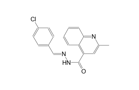 N'-[(E)-(4-chlorophenyl)methylidene]-2-methyl-4-quinolinecarbohydrazide