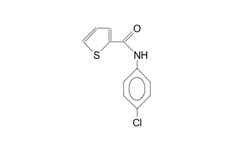 N-(4-Chlorophenyl)thiophene-2-carboxamide