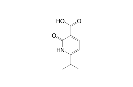 2-Hydroxy-6-isopropylpyridine-3-carboxylic acid