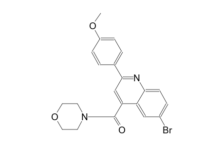 4-[6-bromo-4-(4-morpholinylcarbonyl)-2-quinolinyl]phenyl methyl ether